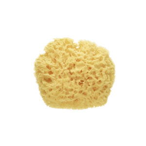 Esponja natural Premium